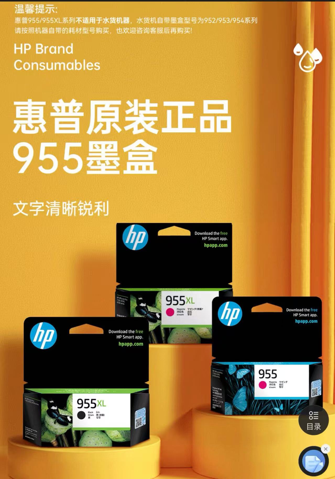 955  5  20250423114632.jpg