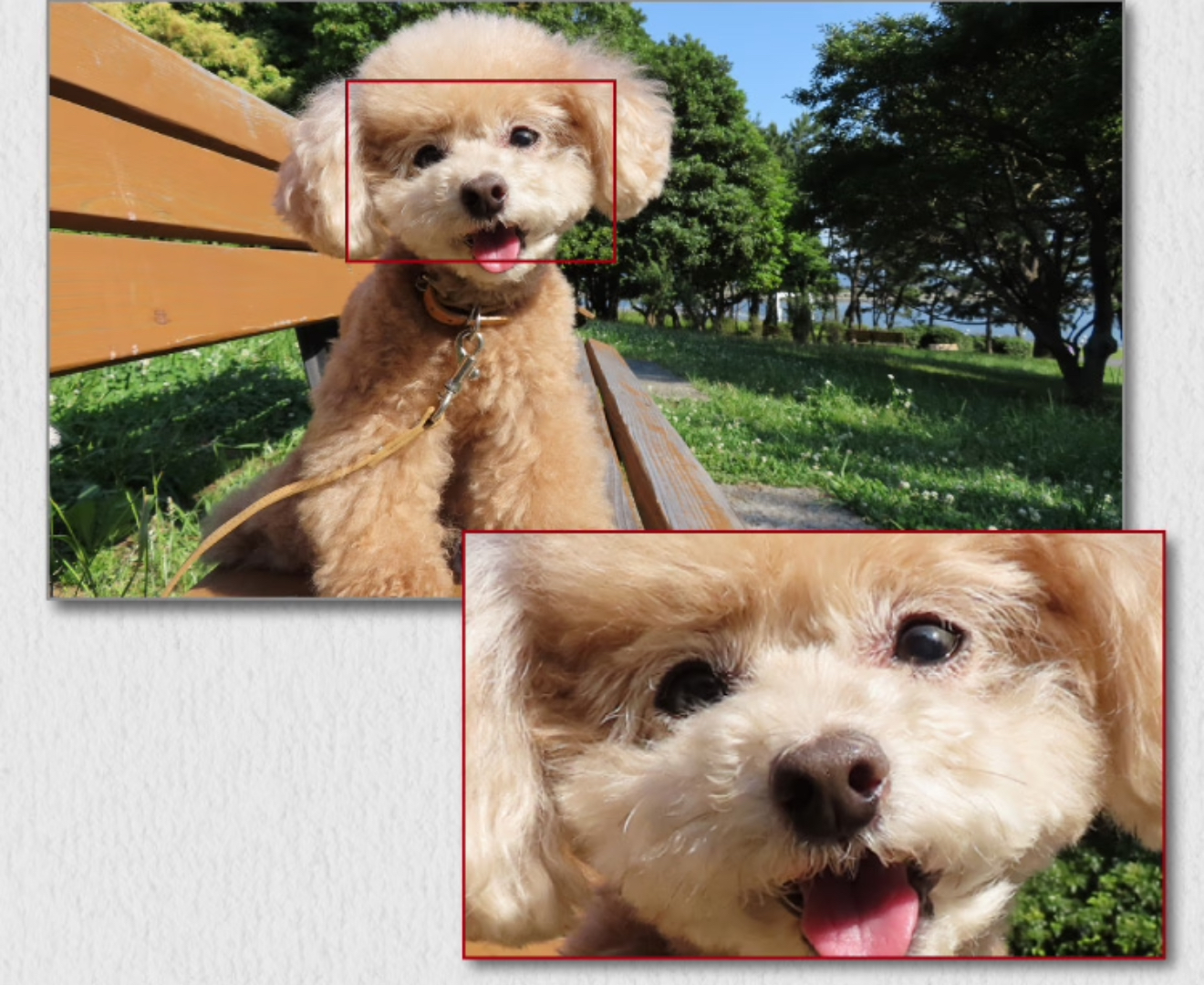 照相机5  微信图片_20251013140735_153_21.jpg